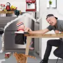 lobster portable highchair UK