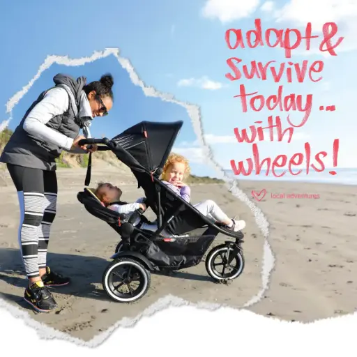 sport buggy with liner